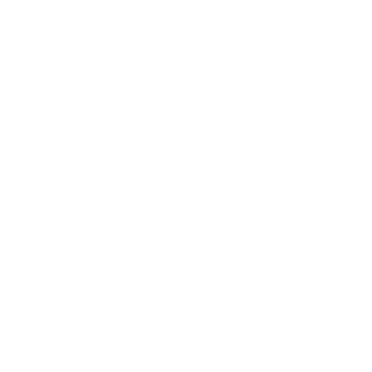 Logo Bison Transport